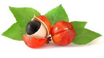Guarana fruit is the main ingredient of Gigant