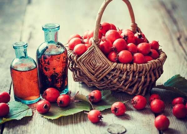 Hawthorn fruits to raise a member