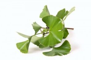 ginkgo biloba for penis enlargement